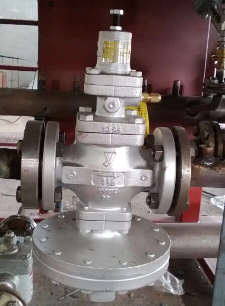 EPS Pre-Expanding Machine Suppliers